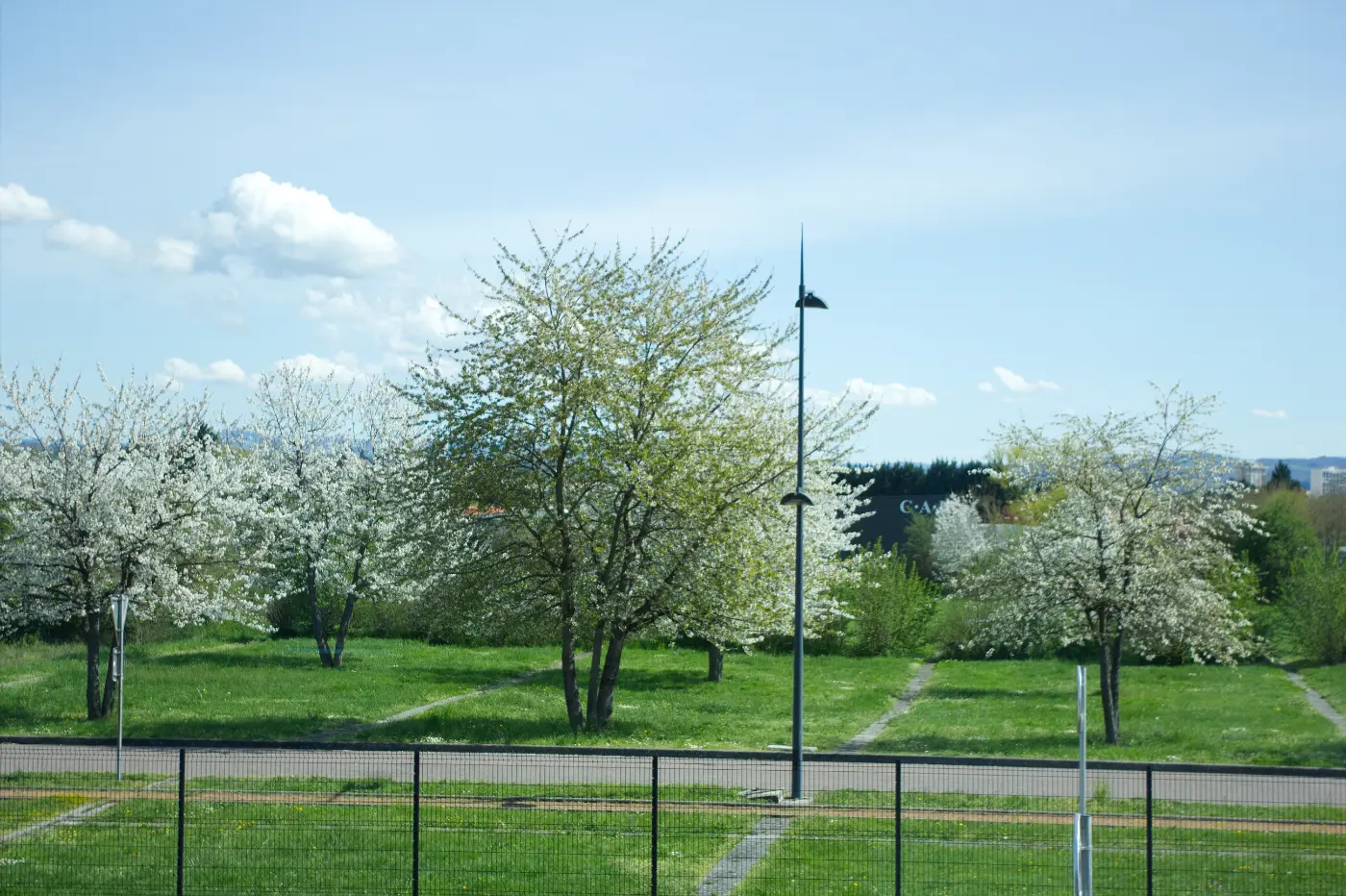 Parc arboré